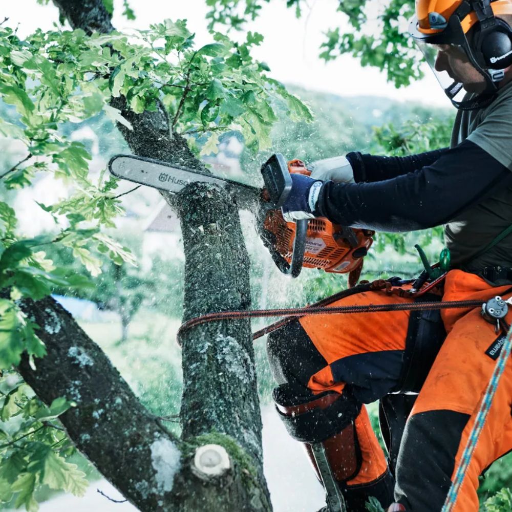 ELAGUEUSE HUSQVARNA T540XP MARK II-2